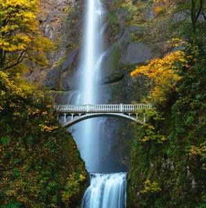 Meet your Posher, Yovo